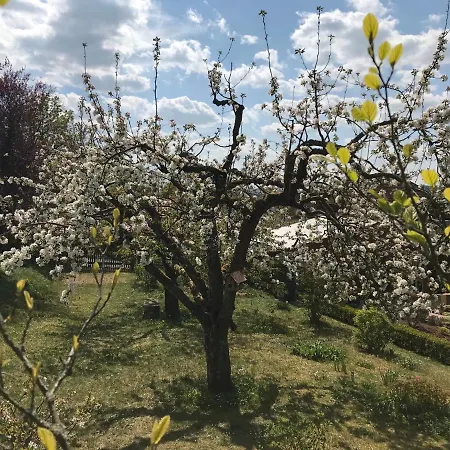 Ferienwohnung Im Grunen Apartmán Eisfeld